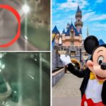 Increíble aparición fantasmal captada en Disneyland, InfoMistico.com