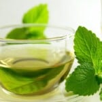 Analgesic Properties of Brazilian Mint, InfoMistico.com