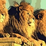 King of the Jungle: Challenges and Triumphs at the Summit of Challenge, InfoMistico.com