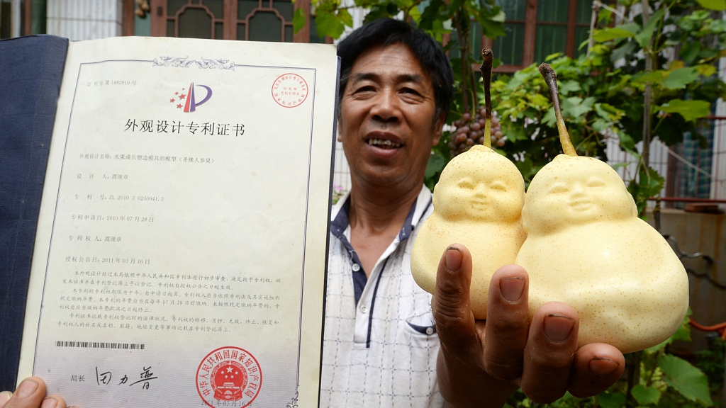 Buddha-Shaped Pears: Agricultural Innovation, InfoMistico.com