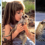 Tippi la niña francesa, InfoMistico.com