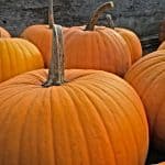 Rituales con calabaza, InfoMistico.com