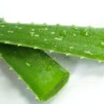 Propiedades curativas del Aloe Vera, InfoMistico.com