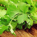 Beneficios y maneras de usar el cilantro para la salud, InfoMistico.com