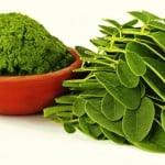 Usos de la moringa — Moringa suplemento alimenticio y sus beneficios, InfoMistico.com