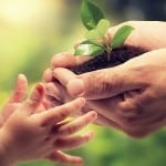 Tu Bishvat, InfoMistico.com