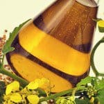 Aceite adecuado para freír, InfoMistico.com