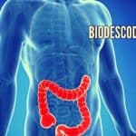 Enfermedades del Colon – Biodescodificación, InfoMistico.com