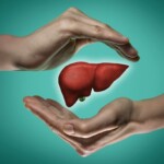 Liver Biological Decoding, InfoMistico.com