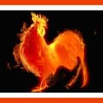 Año del Gallo de Fuego, InfoMistico.com