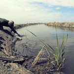 El agua dulce del planeta, InfoMistico.com