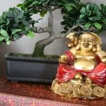 Tips de feng shui para ahorrar dinero, InfoMistico.com