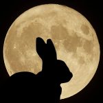 Full Moon of Easter: Meaning, Tradition and Celebration, InfoMistico.com