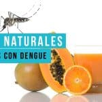 Dietas Naturales para los pacientes con dengue, InfoMistico.com