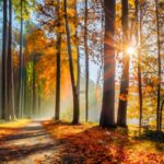 Autumn Equinox: Libra’s Lingering Influence, InfoMistico.com