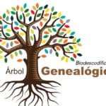 Árbol Genealógico Biodescodificación, InfoMistico.com