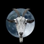 Luna Llena en Capricornio / Full Moon in Capricorn