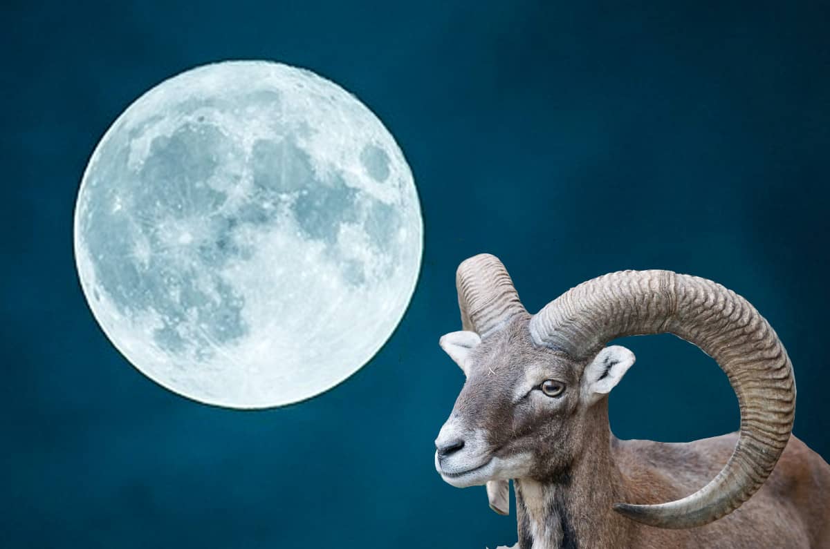 Full Moon in Aries October 2022 ♈️ Intuitive Astrology