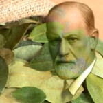 Sigmund Freud and coca leaves as therapy, InfoMistico.com