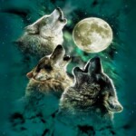 The Wolf Moon Rises, InfoMistico.com