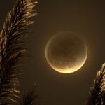 Partial Lunar Eclipse of the Full Moon in Libra, March 25, 2024, InfoMistico.com