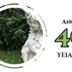 Ange Numéro 40 Yeiazel, InfoMistico.com