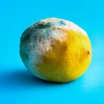 Limones Podridos: Ciencia vs Creencia, InfoMistico.com