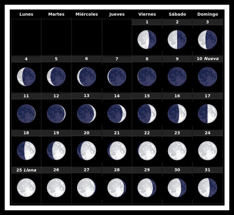 Guía de las fases lunares en marzo 2024 Luna Nueva a Llena