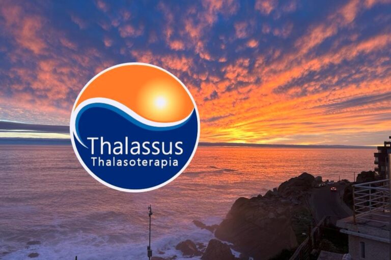 thalassus 1 768x512