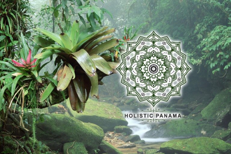 holisticpanama 1 768x512